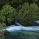 Long exposure fine art photography of the Sorgue river in Fontaine-de-Vaucluse, France, featuring emerald green water and silky white stream motion surrounded by wild trees and forest foliage.