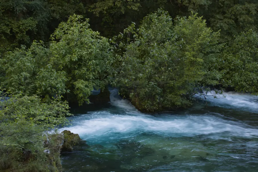 Long exposure fine art photography of the Sorgue river in Fontaine-de-Vaucluse, France, featuring emerald green water and silky white stream motion surrounded by wild trees and forest foliage.
